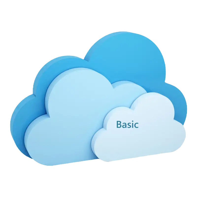 HOSTING - BASIC