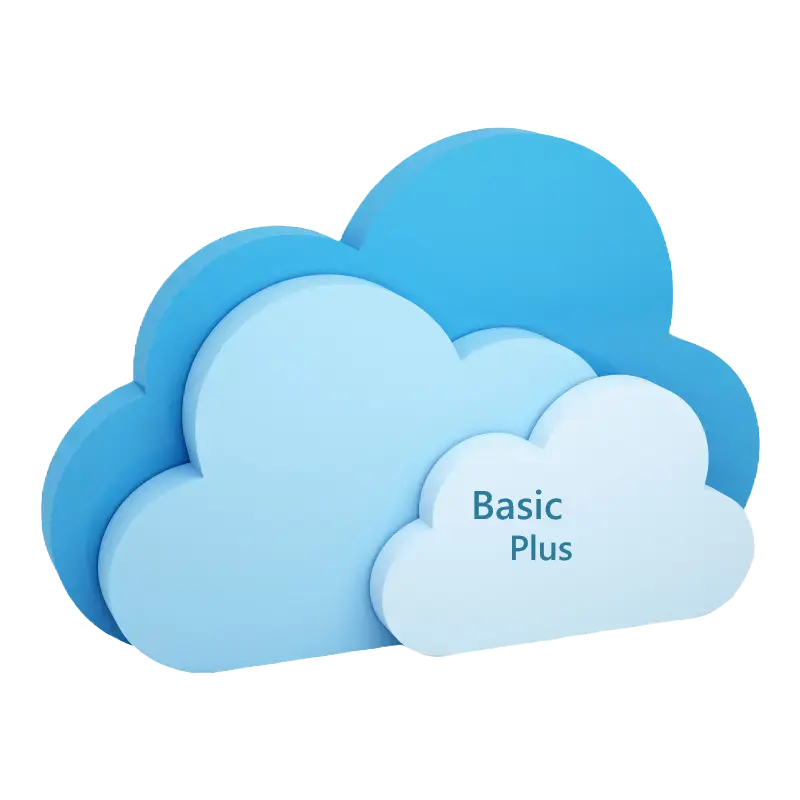 HOSTING - BASIC PLUS